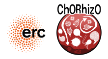 ERC chorhizo